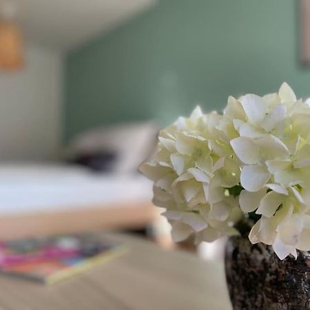 Bergfeeling Mit Oberstaufen Plus 외부 사진
